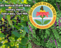 Coastal Discovery Museum Native Plant Sale